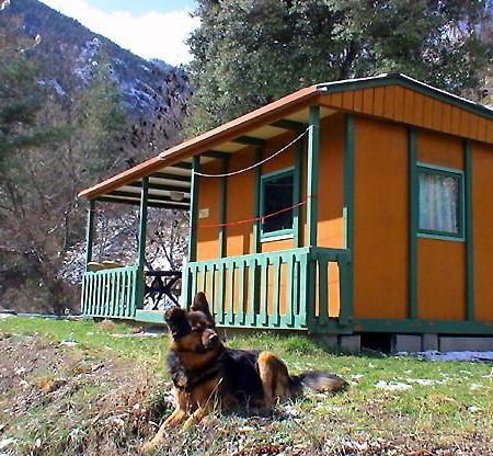 Chalet-Bungalow Ombrage Escaro Екстер'єр фото