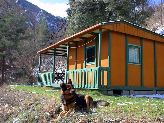 Chalet-Bungalow Ombrage Escaro Екстер'єр фото