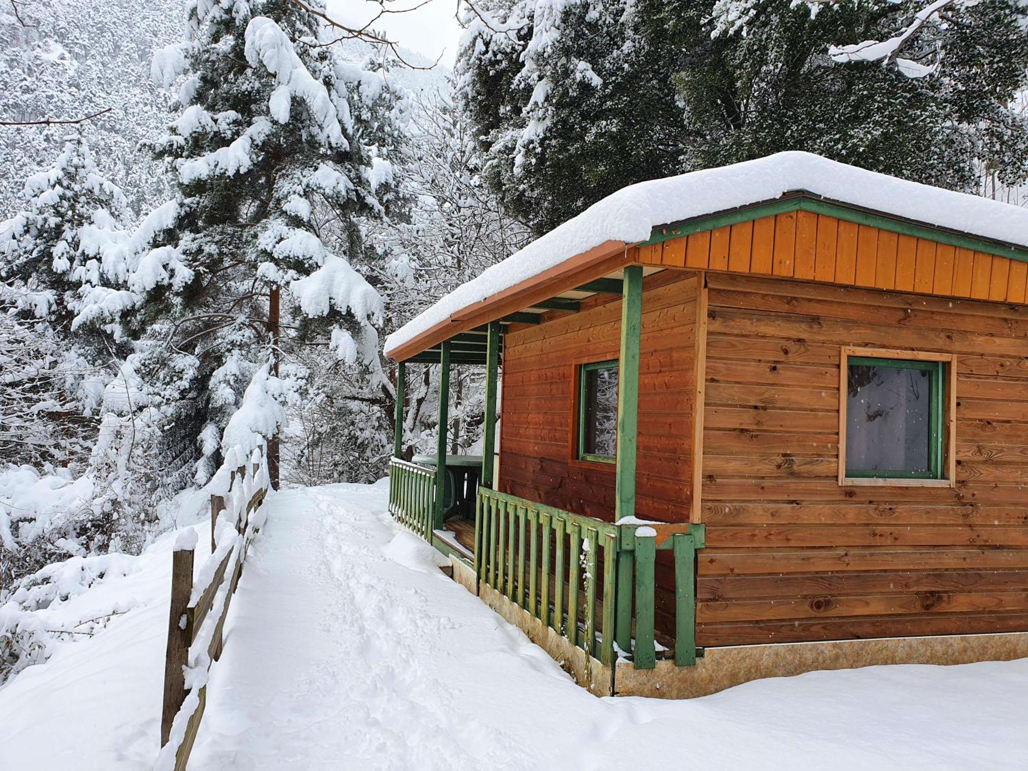 Chalet-Bungalow Ombrage Escaro Екстер'єр фото